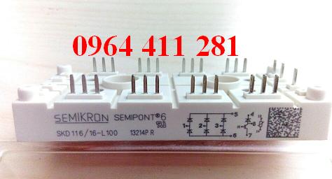SKD 116/16-L100 SEMIKRON  IGBT MODULE